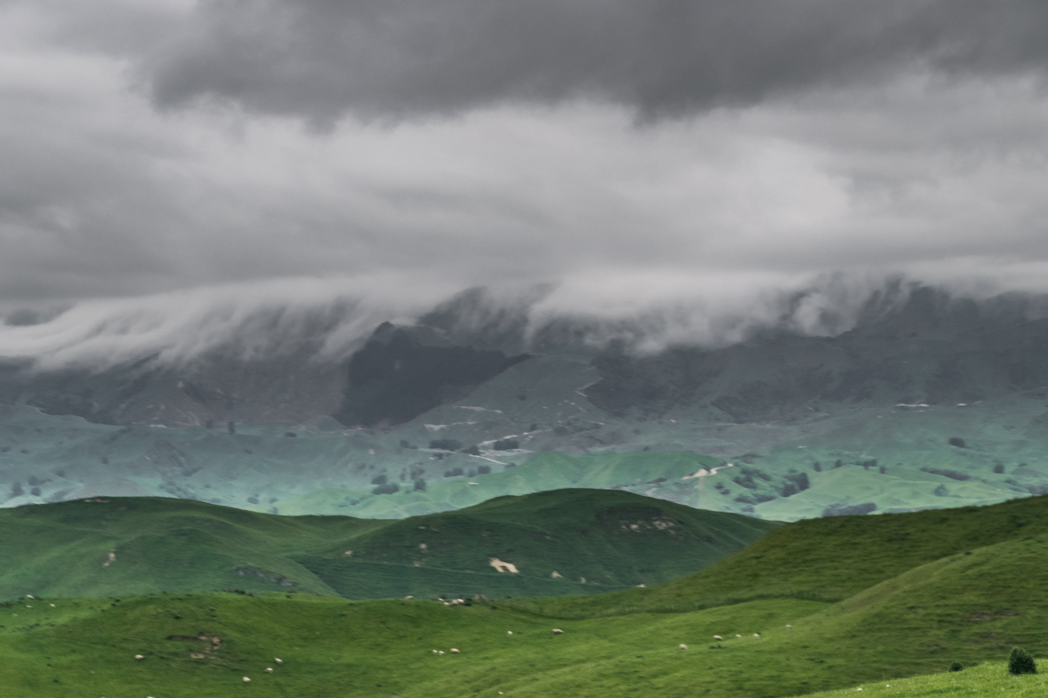 Hawke's Bay rural landscape — produce-growing country