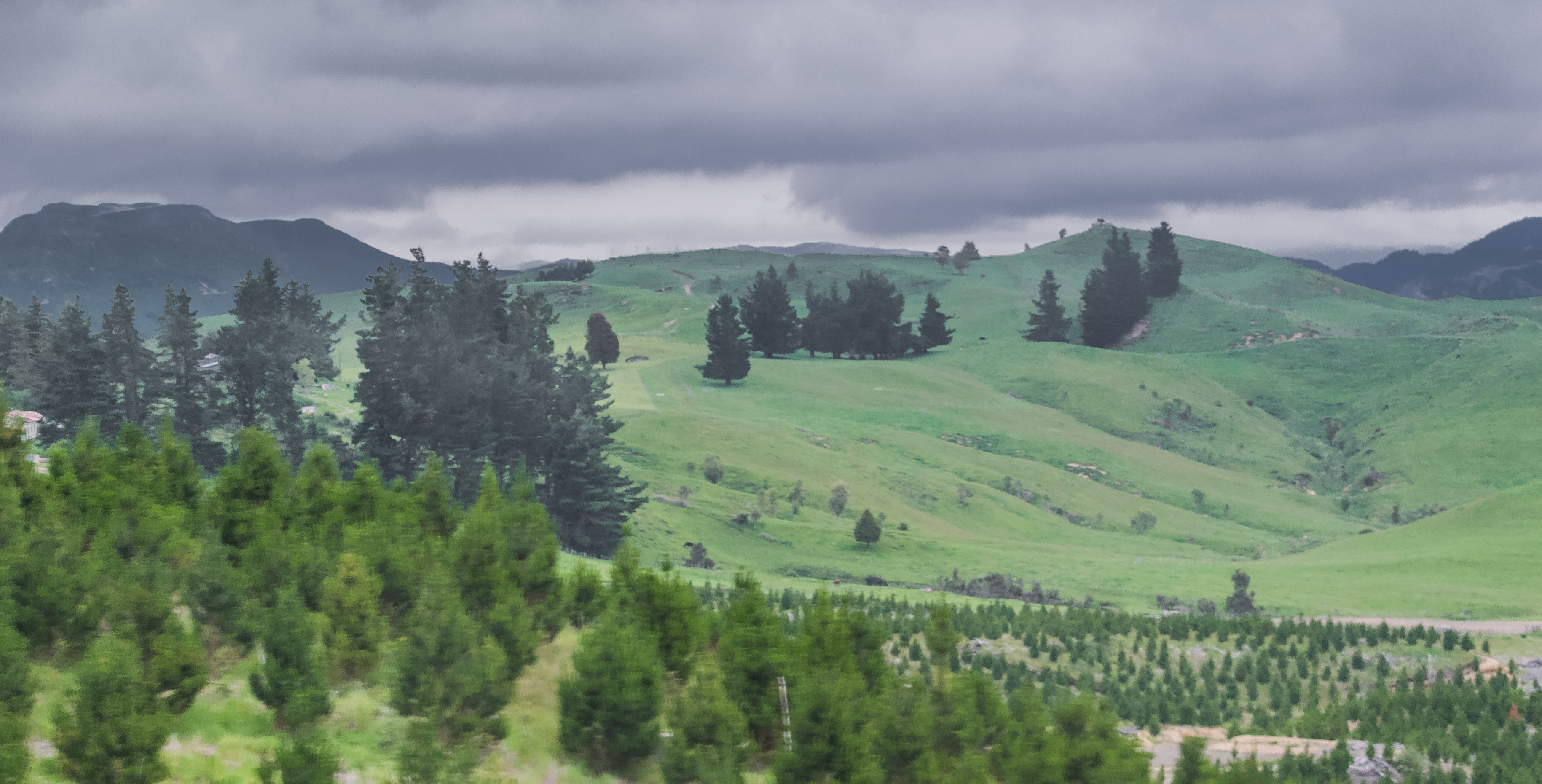 Hawke's Bay rural landscape and farmland