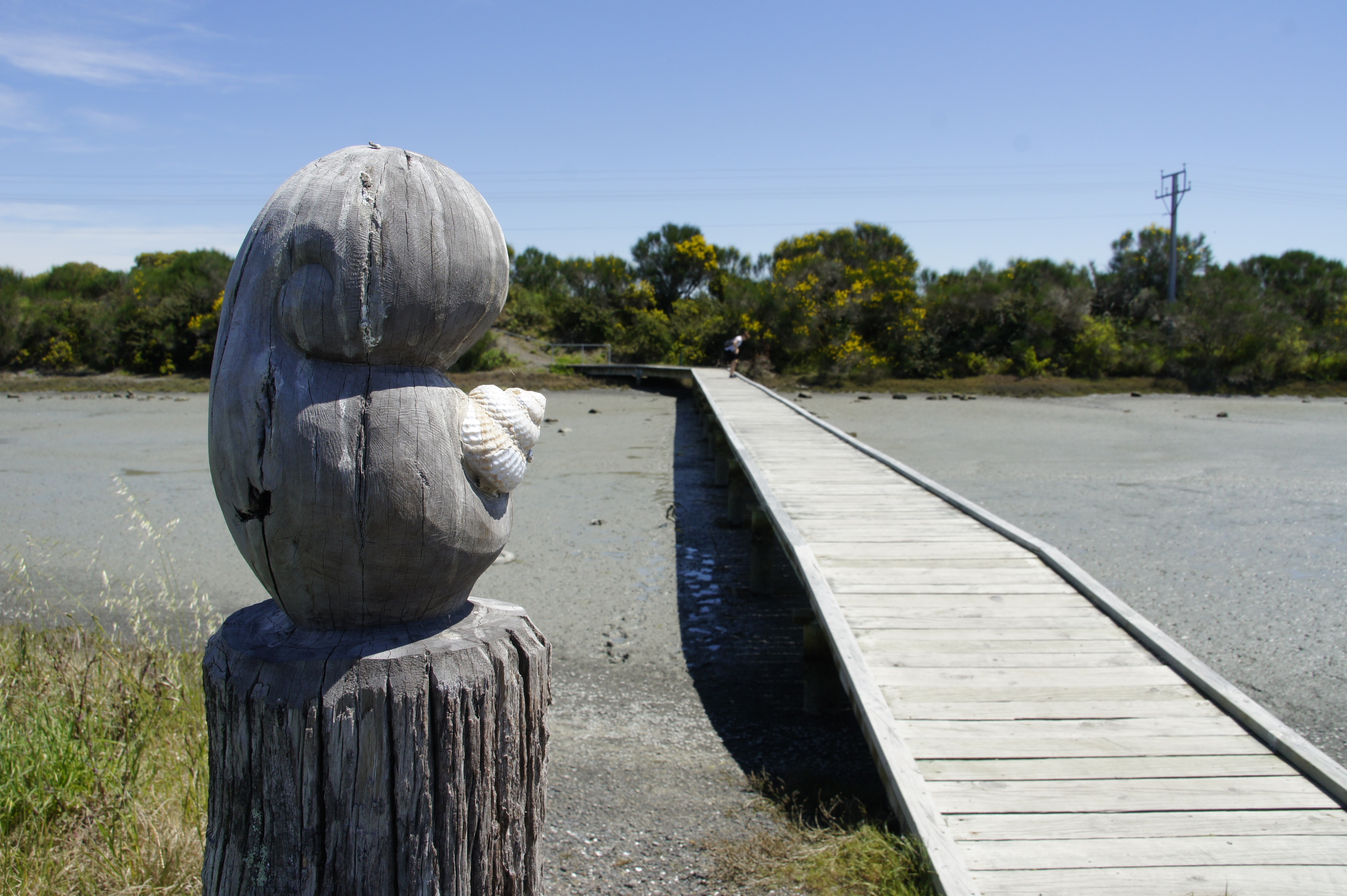 Ahuriri Estuary Walkway, Napier — flat foreshore track beside the estuary
