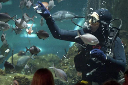 National Aquarium of New Zealand on Marine Parade, Napier